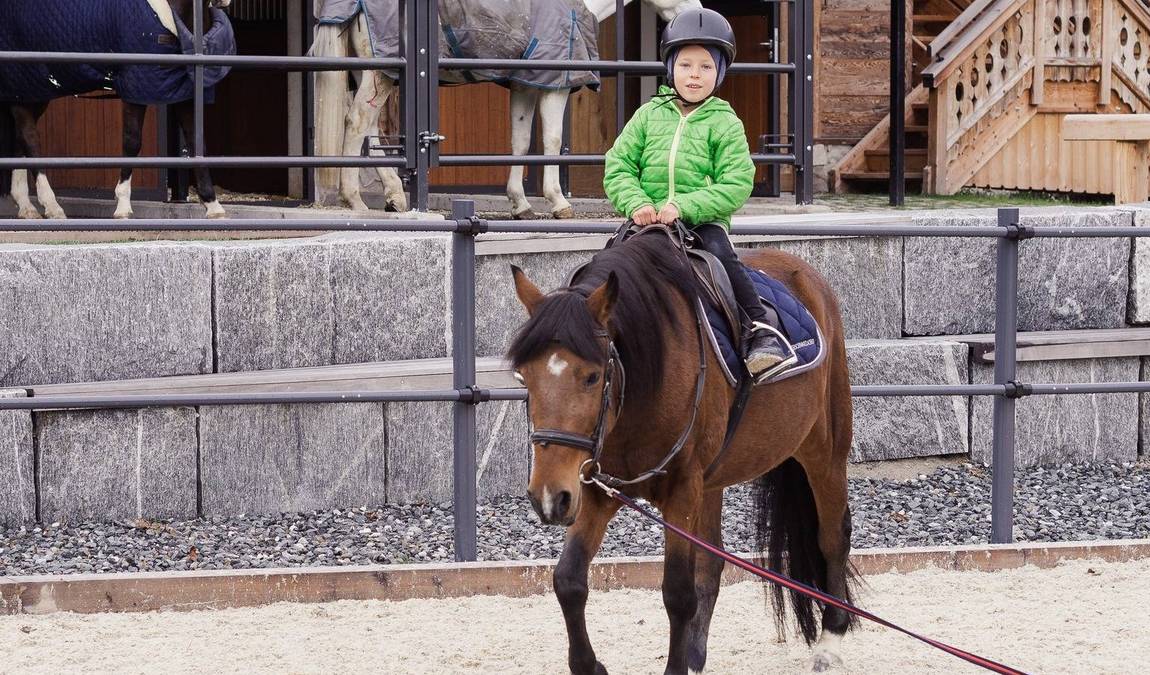 unterschwarzachhof mini farm photo 3