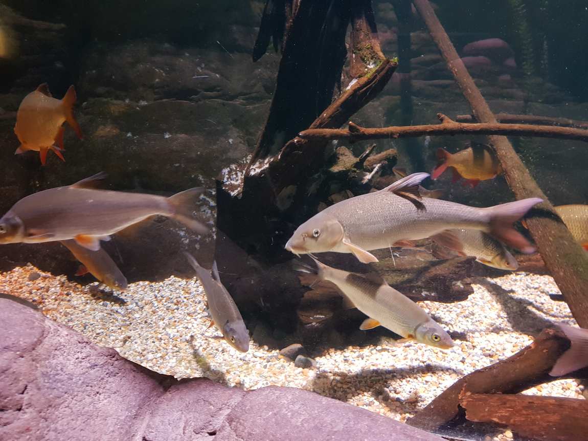 sea life berlin photo 2