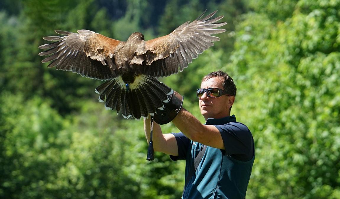 der falkenhof paul klima photo 3