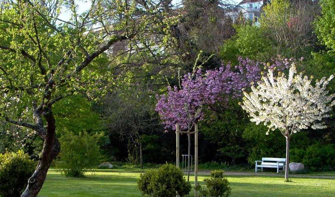 city garden vegesack photo 6