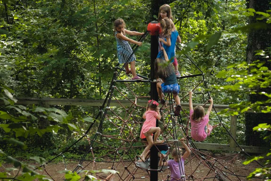 wnc nature center and wildlife park photo 3