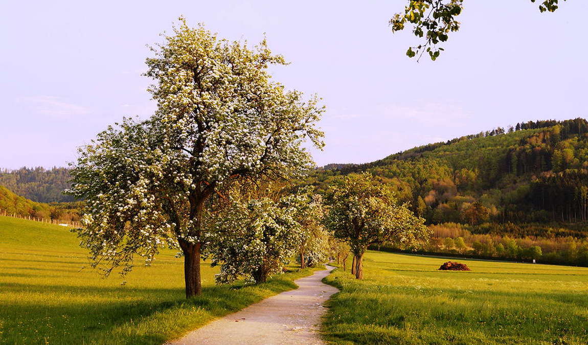 attersee-traunsee nature park photo 1