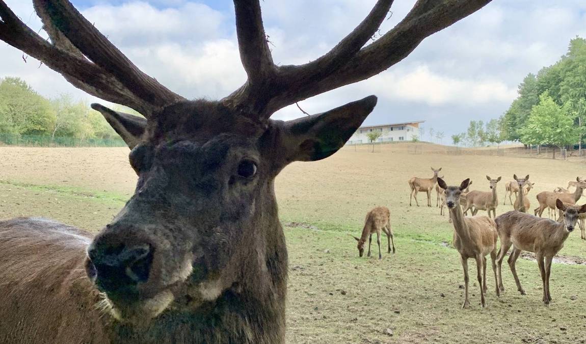 sonnenlandpark photo 4