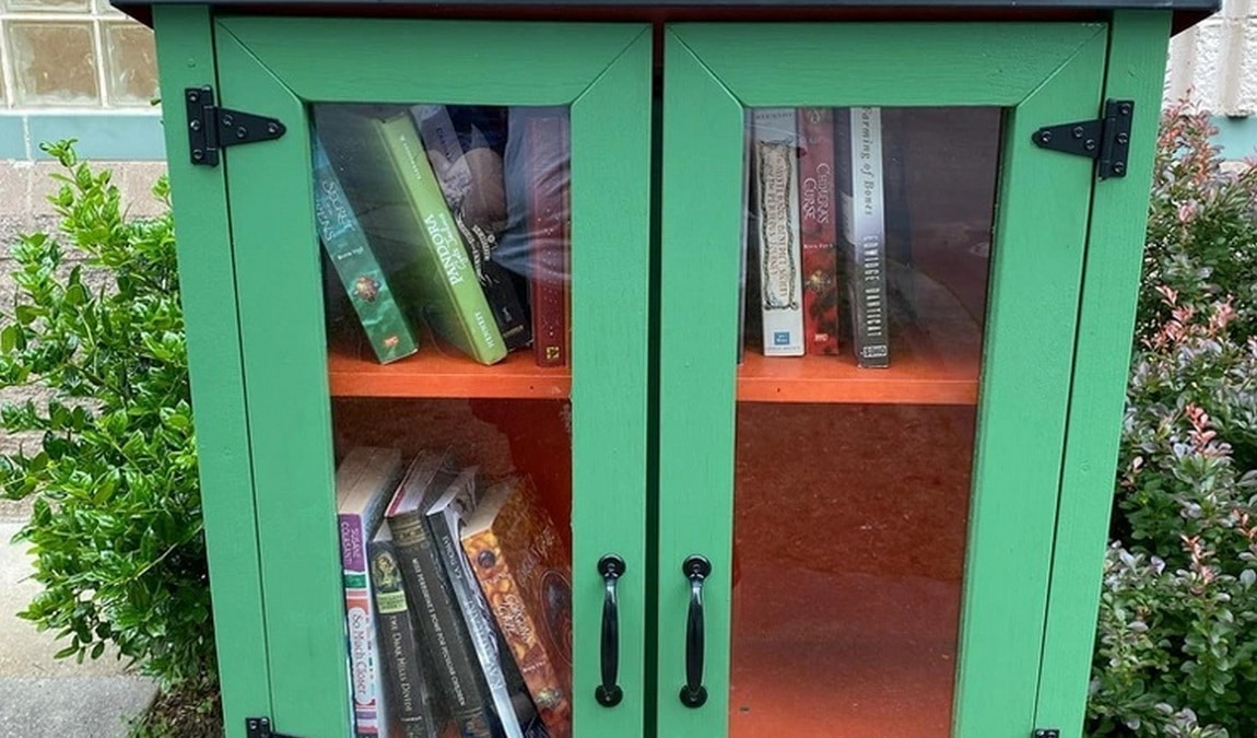 morreene road park photo 4