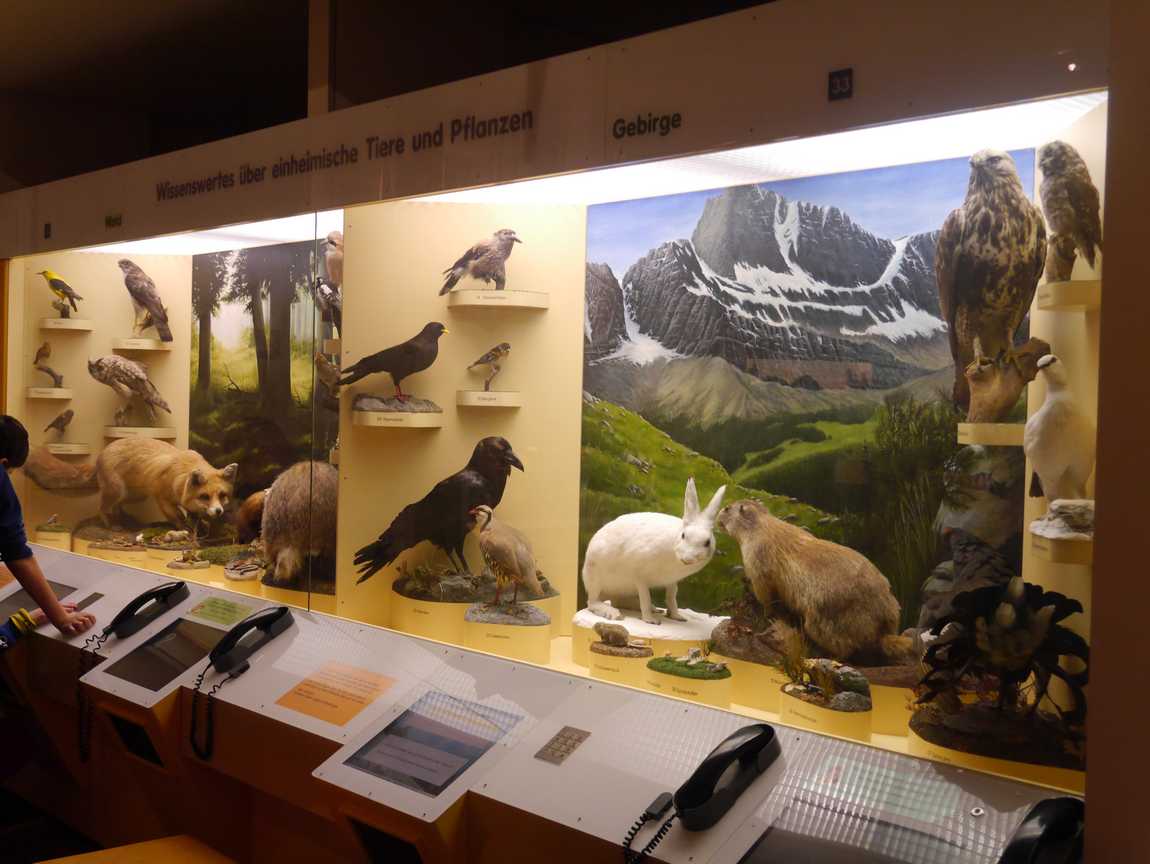 museum of man and nature photo 6