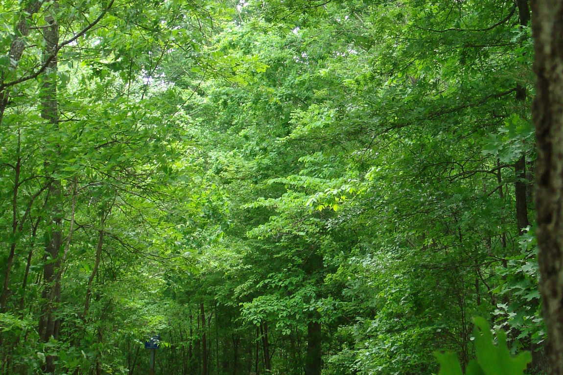 reedy creek nature center photo 2