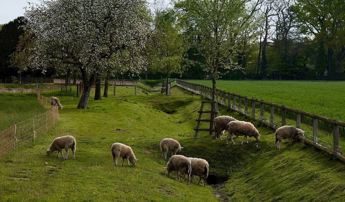 vogelpark maria veen photo 6