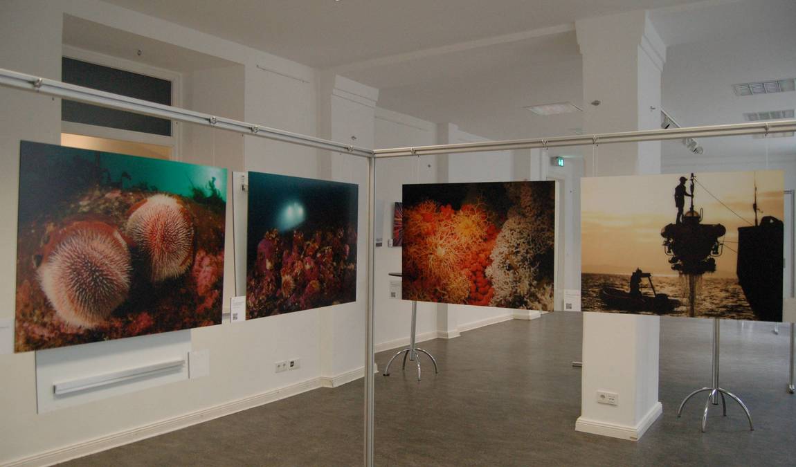 house of science photo 6