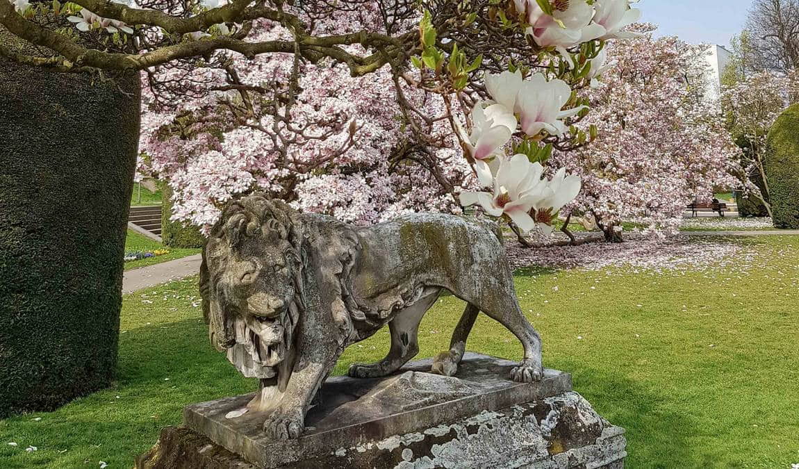 wilhelma zoo and botanical garden photo 2