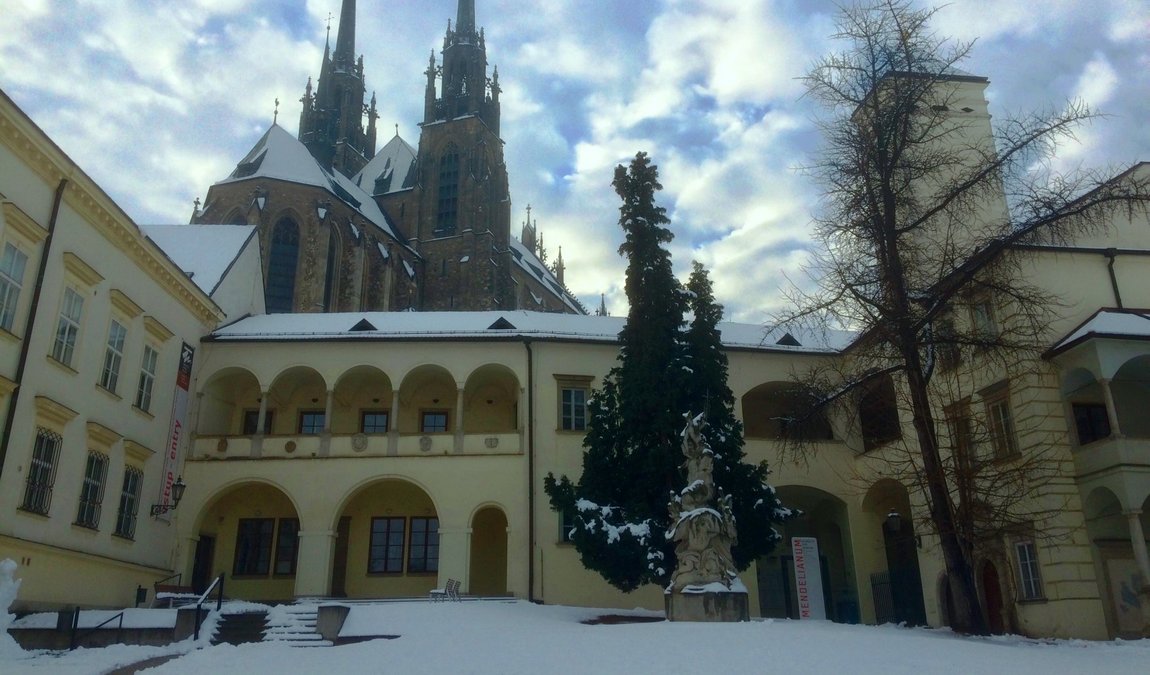 mendel museum photo 2