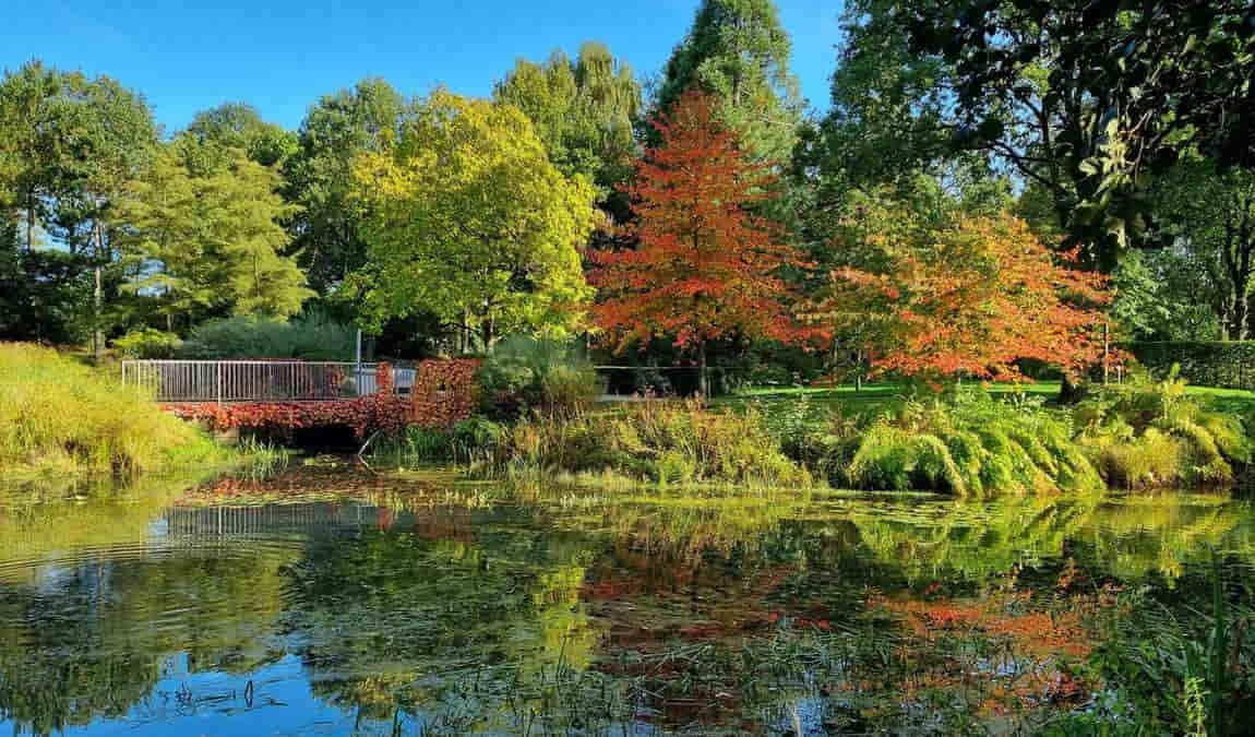 rhododendron park photo 1