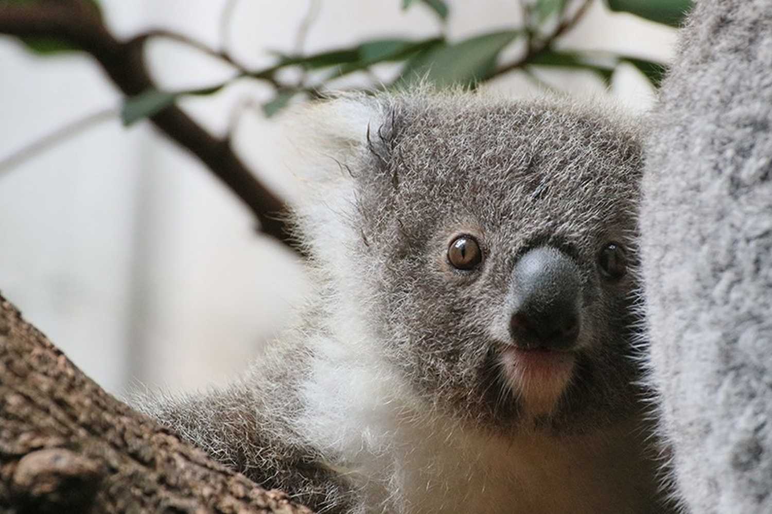 duisburg zoo photo 3