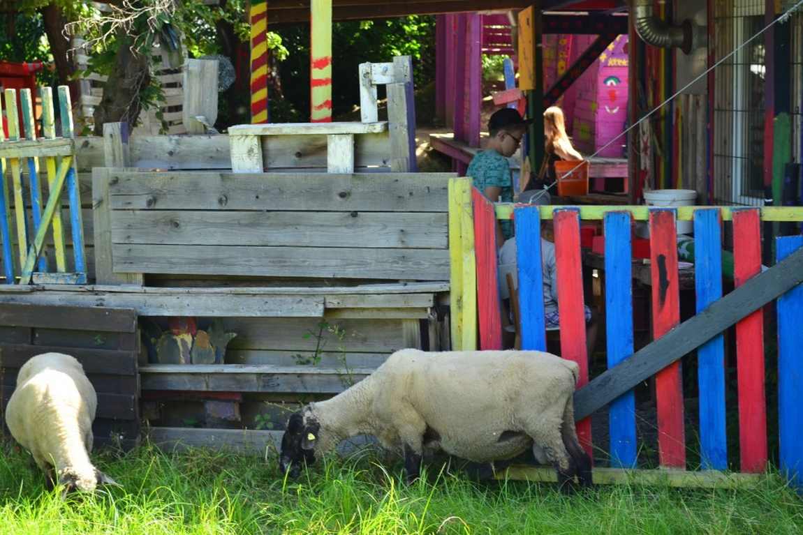 jugendfarm bonn photo 1