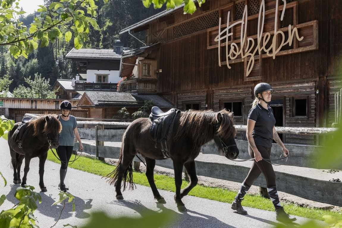 feriendorf holzleb'n farm photo 2