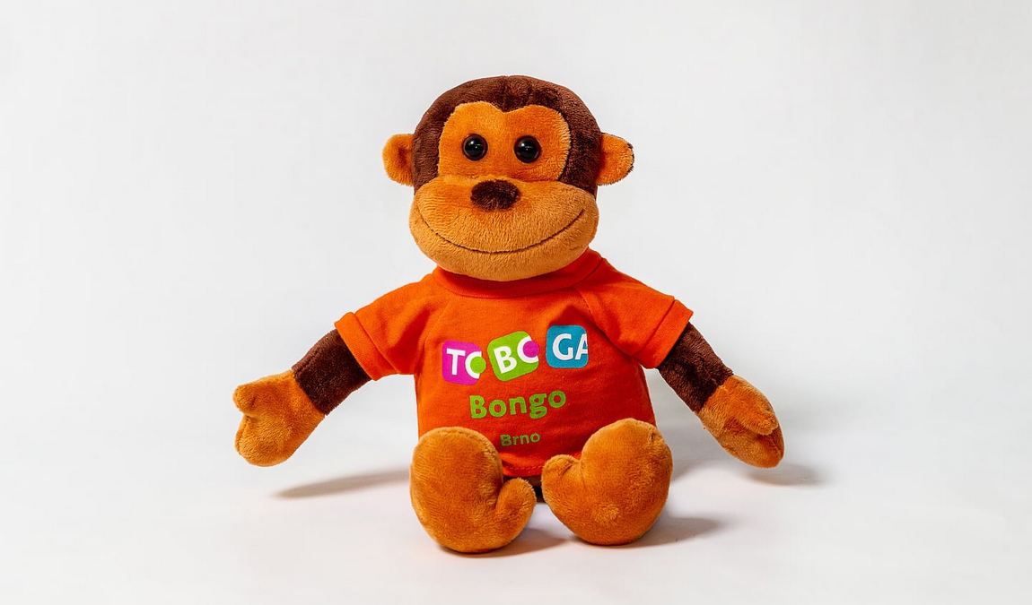 toboga bongo photo 1