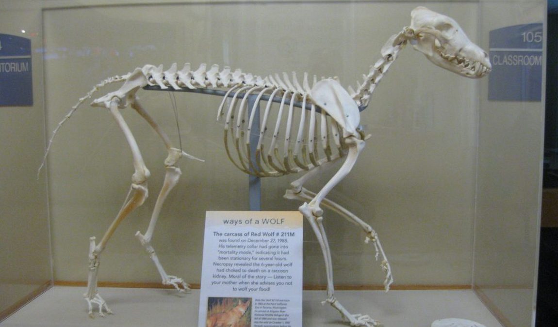 national wildlife refuges visitor center photo 6