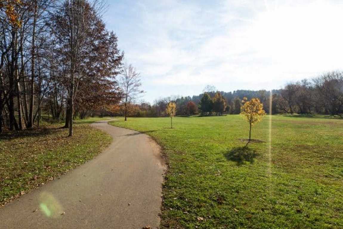 french broad river park photo 2