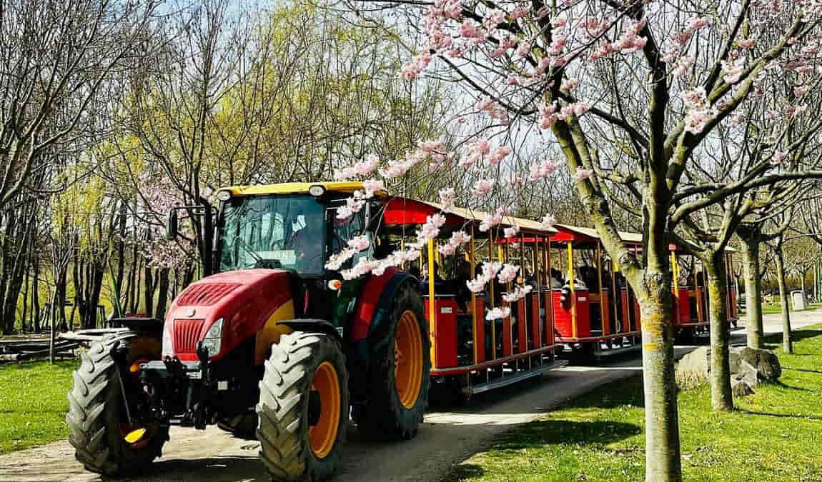 sonnenlandpark photo 1