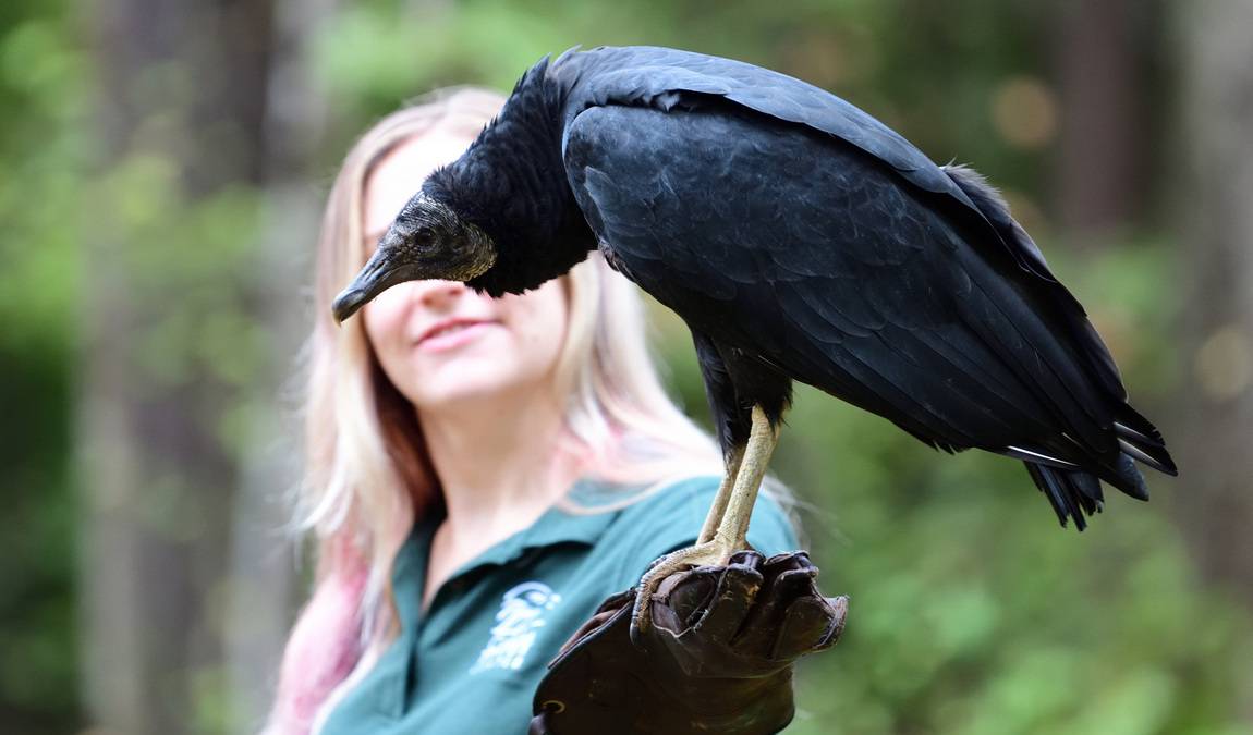 latta plantation nature center & preserve photo 6