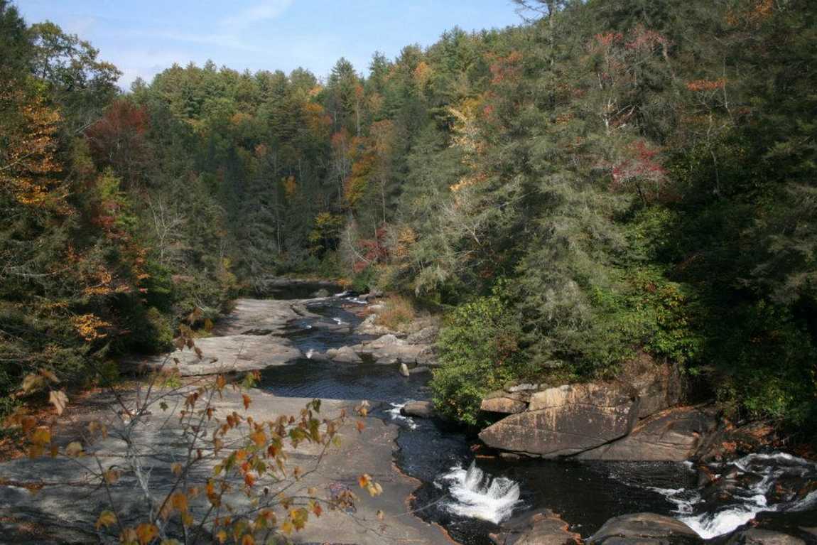 dupont state recreational forest  photo 2