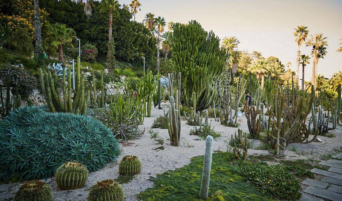 mossen costa i llobera gardens photo 3