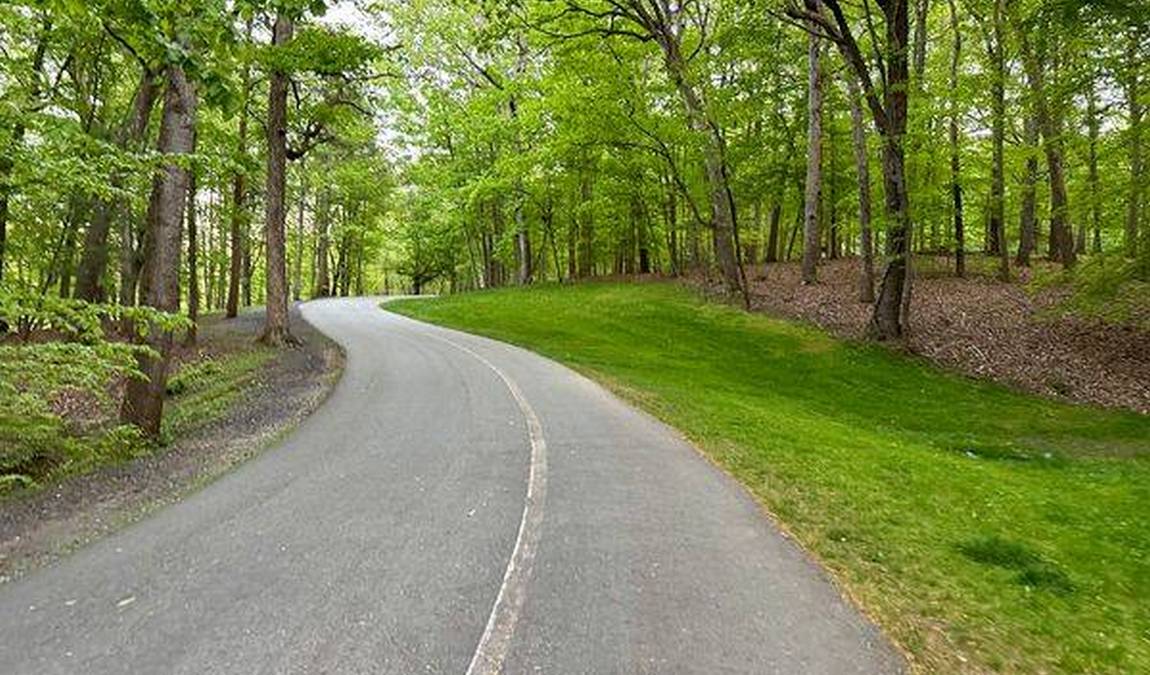 country park photo 4