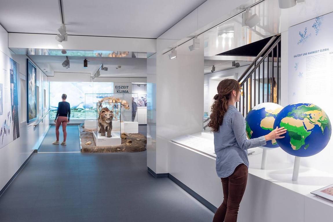 house of nature photo 2