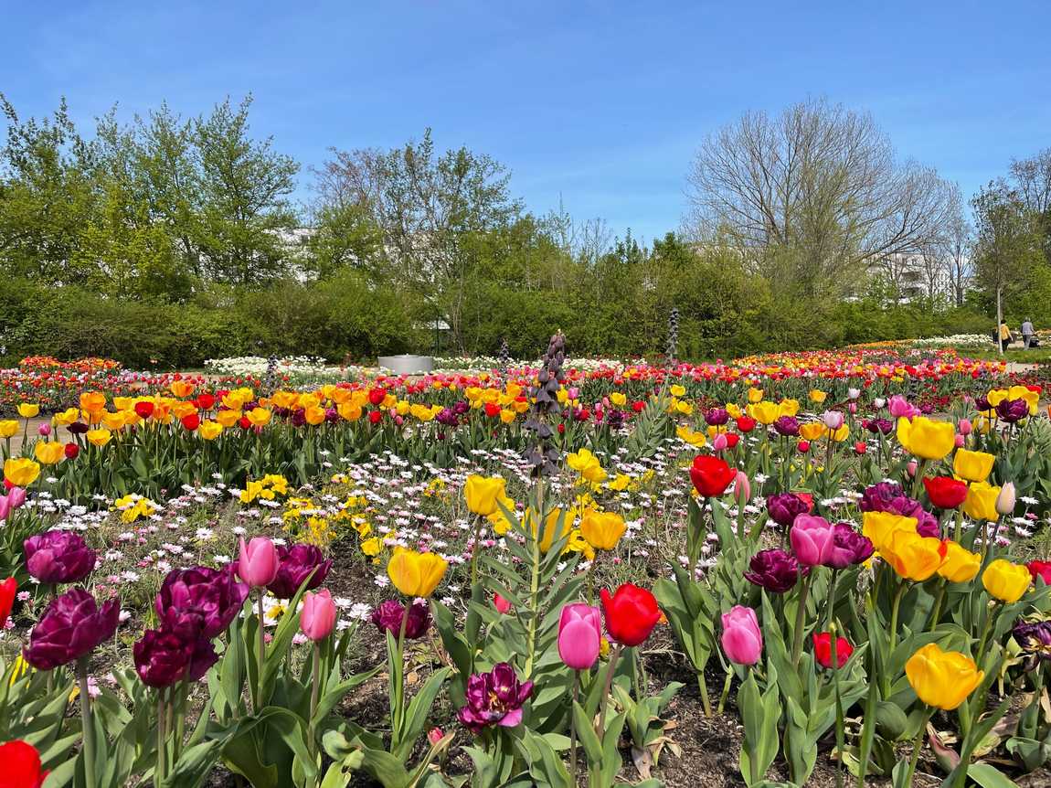 the gardens of the world photo 1