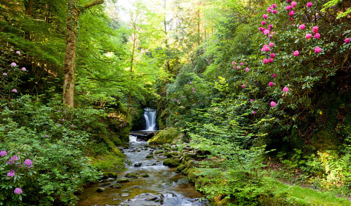 geroldsau waterfall photo 3