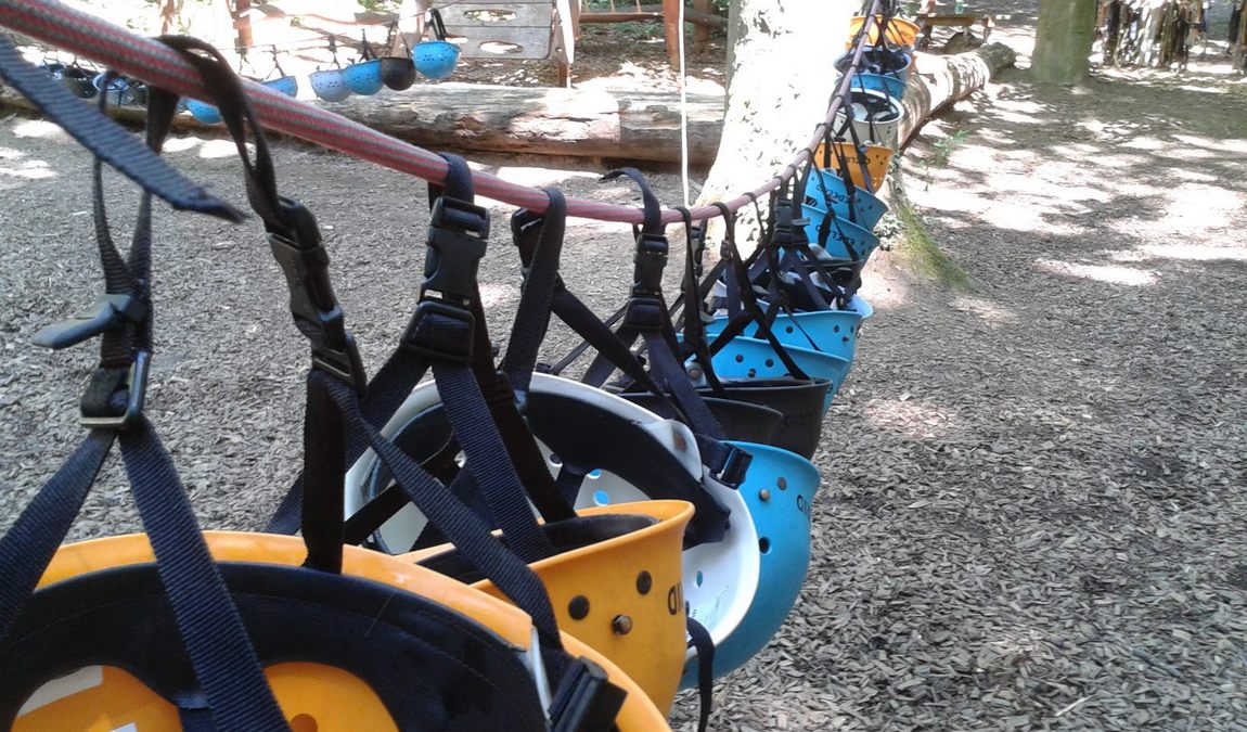 kletterwald darmstadt photo 3