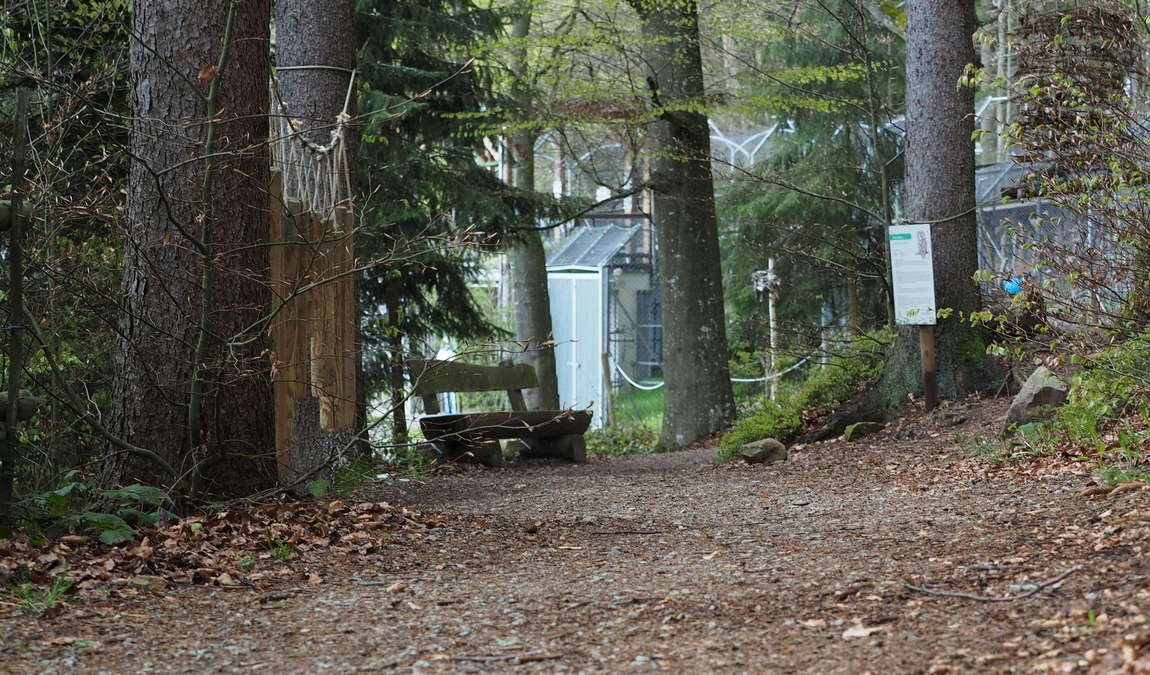 barenwald arbesbach photo 4