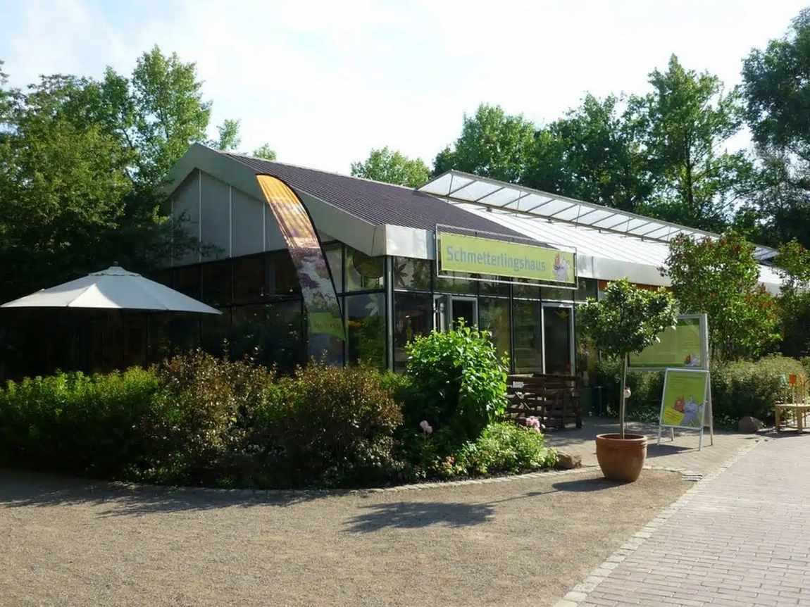 butterfly house in maximilianpark photo 1