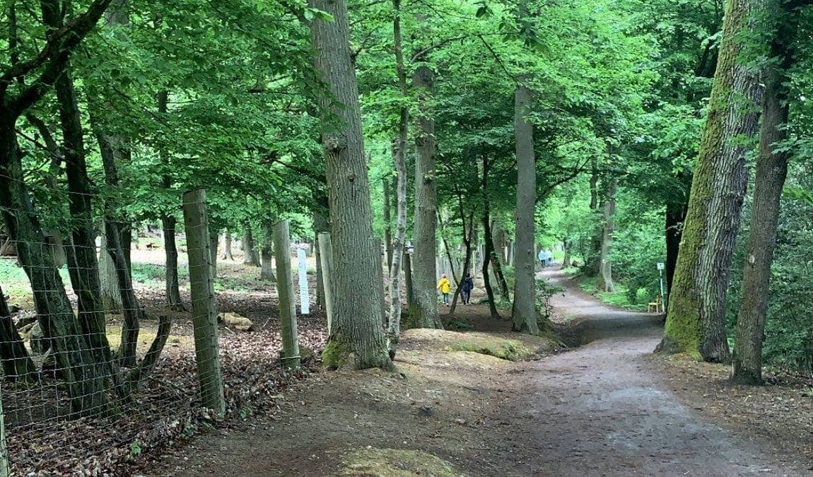 wildpark retter hofheim photo 5