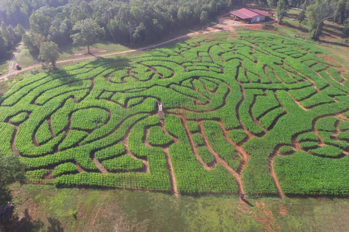 hall family farm photo 5