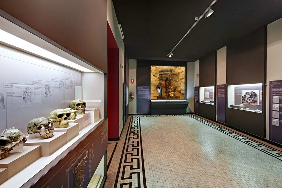 archaeology museum of catalonia photo 1