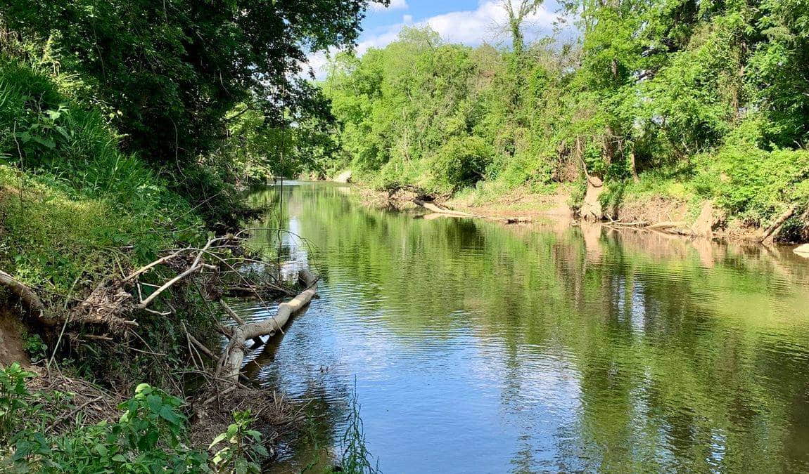walnut creek wetland park photo 2