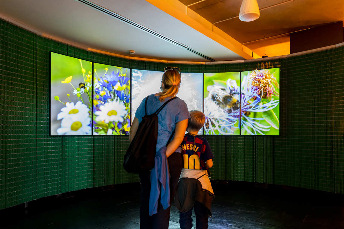 museum of natural sciences of barcelona blau photo 2