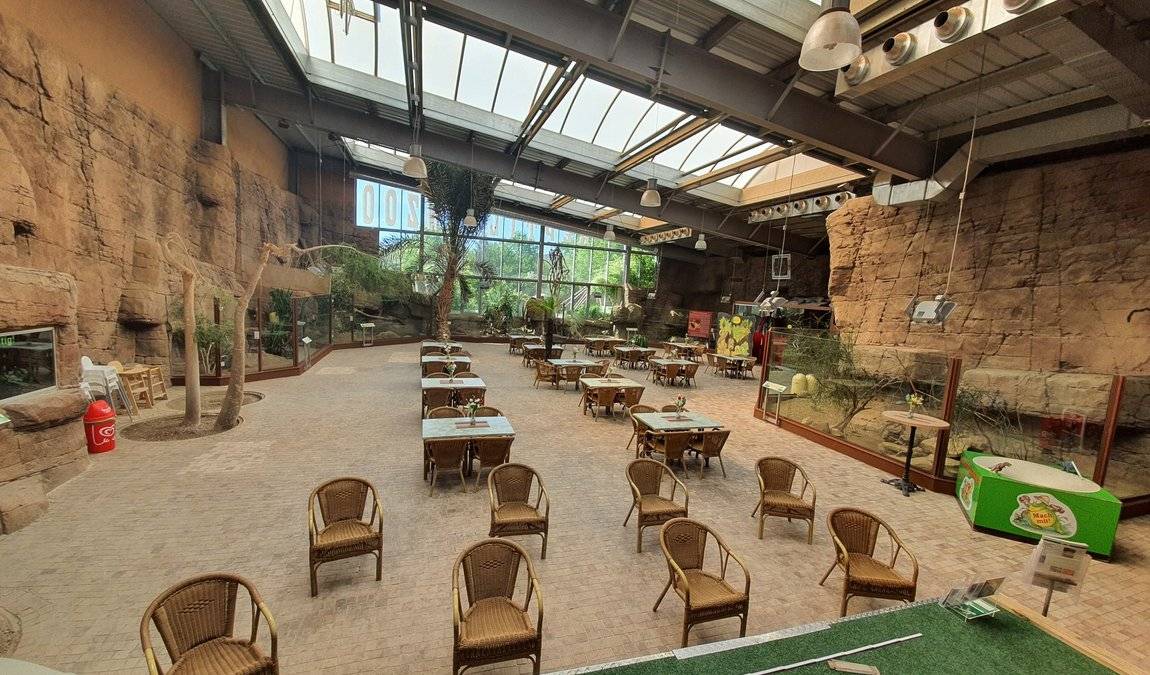 reptilium terrarium and desert zoo photo 7