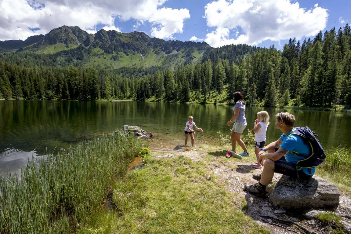 wildlife park untertauern photo 2