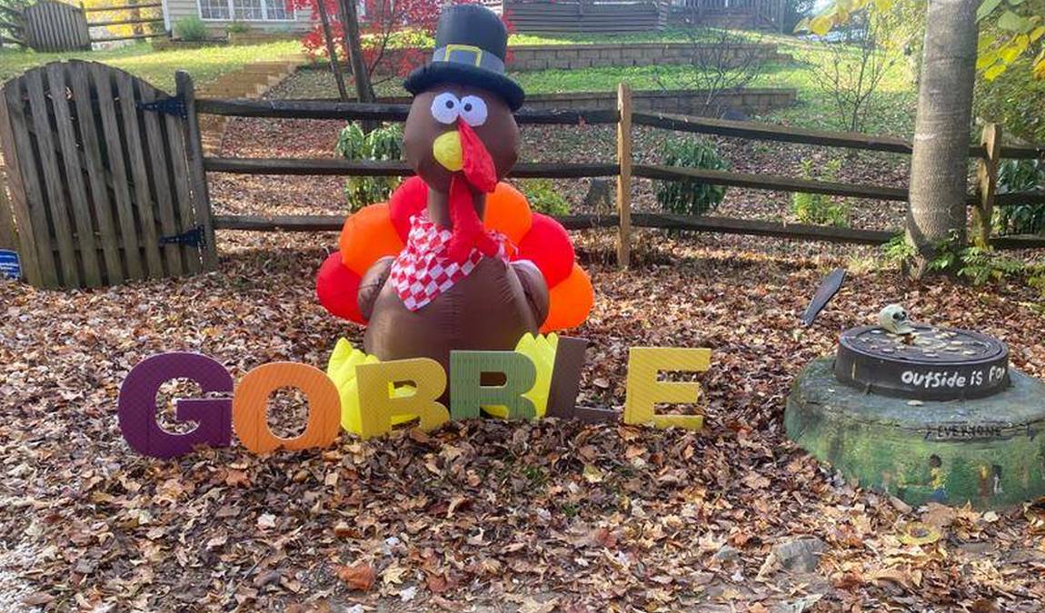 four mile creek greenway photo 7