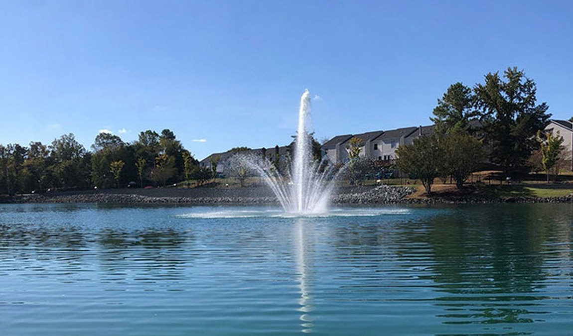 pineville lake park photo 3