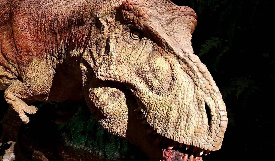 gondwana - the prehistorium photo 9