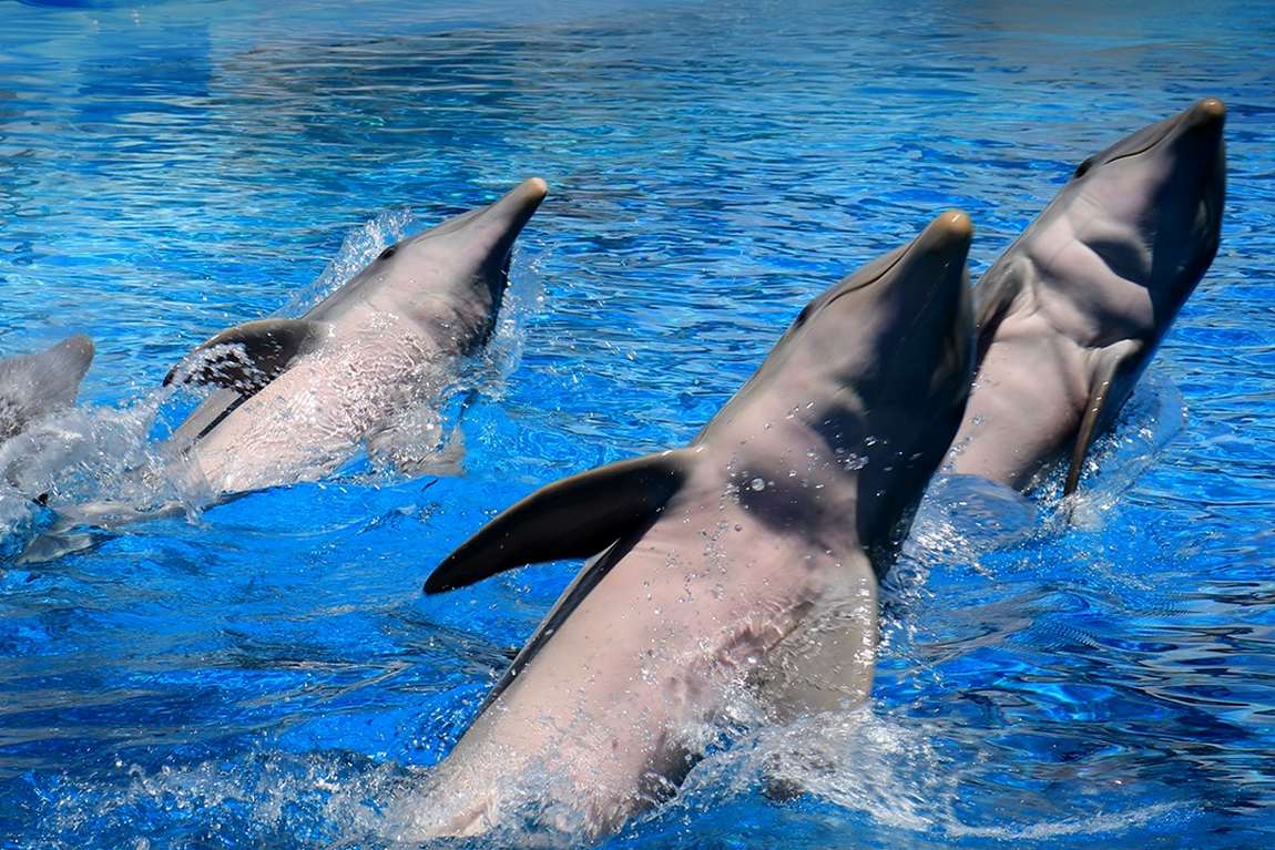 mundomar park photo 1