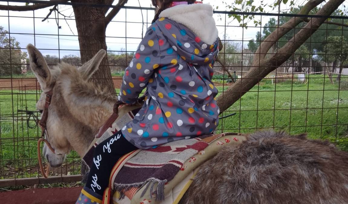 finca albahaca photo 6