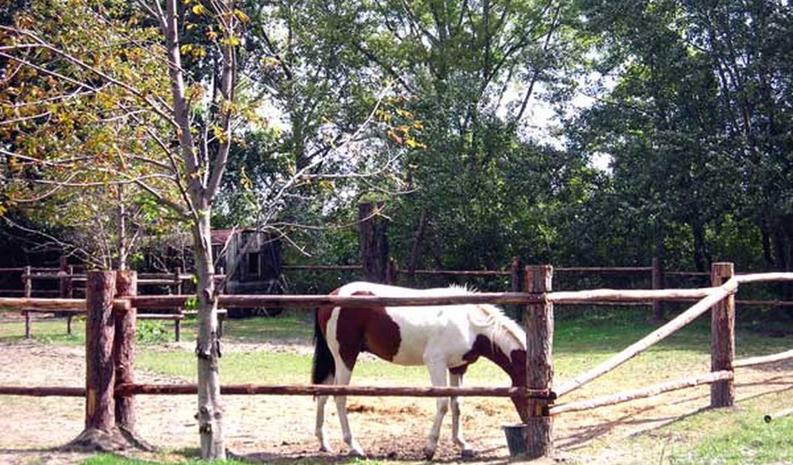 vienna kids farm photo 6