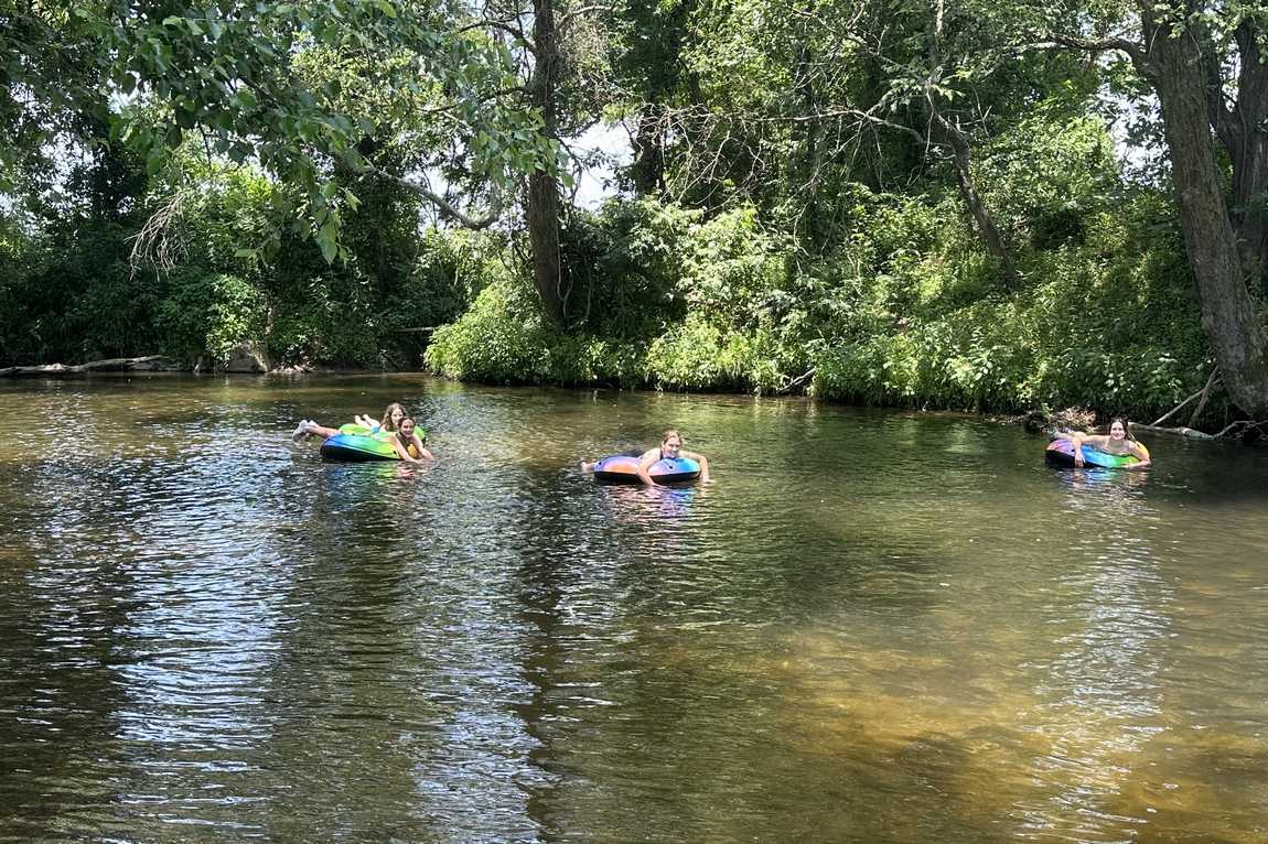 mills river park photo 5