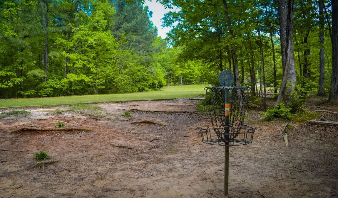 cornwallis road park photo 3