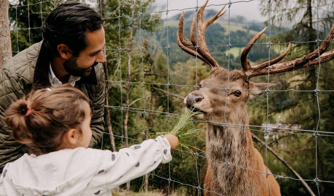 the minigut photo 5