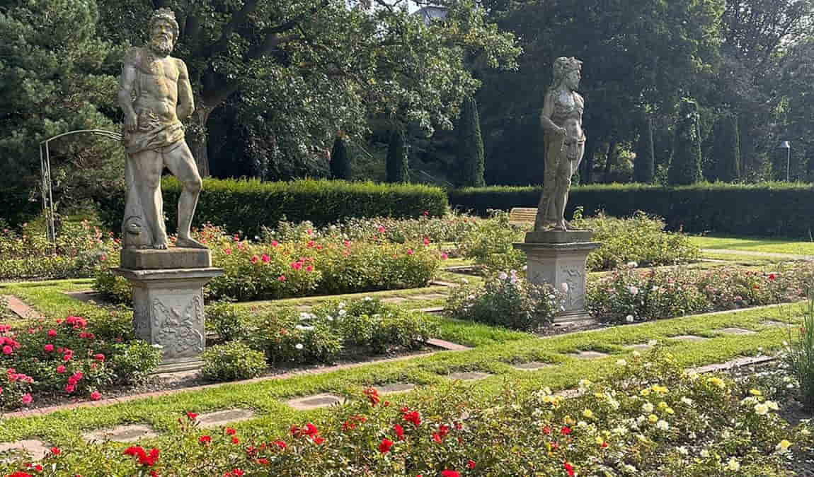 city garden vegesack photo 2