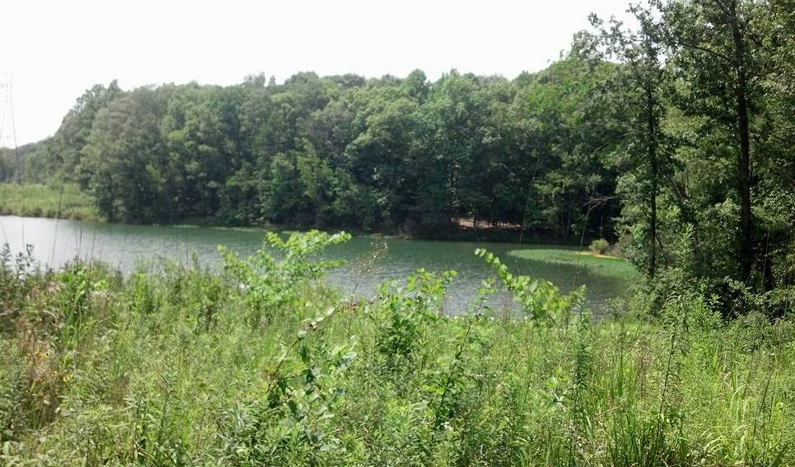 latta plantation nature center & preserve photo 3